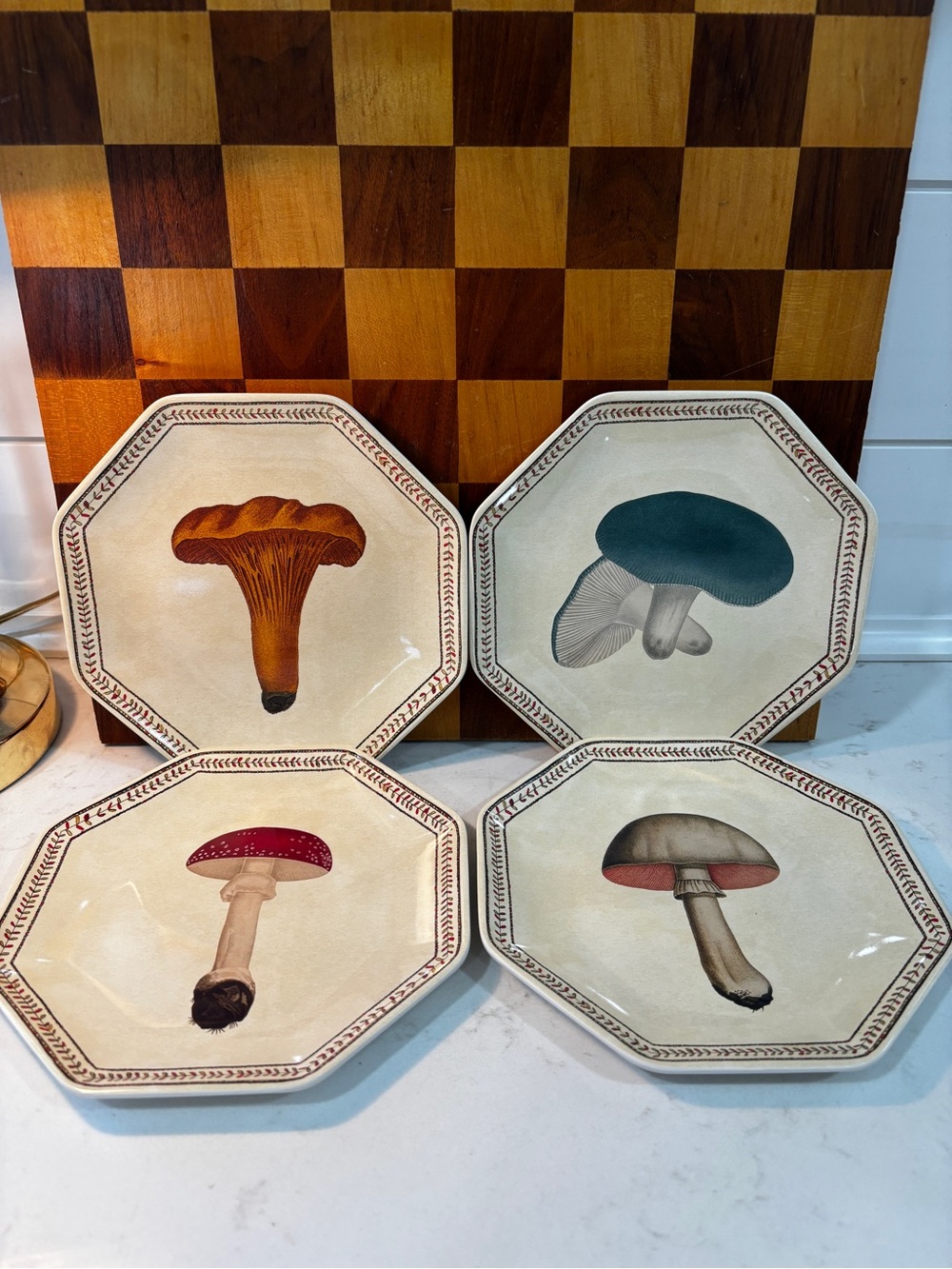 John Derian Mushroom Appetizer Plates Set Melamine- New- Set Of 4